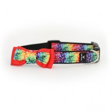 Soapy Moose Dog Collar Rainbow Love(Medium)