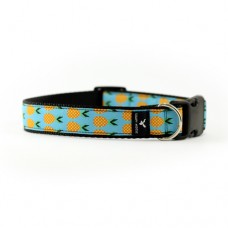 Soapy Moose Dog Collar Pineapple(Medium)