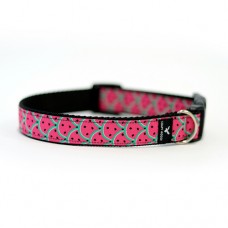 Soapy Moose Collar Pink Watermelon(Small)